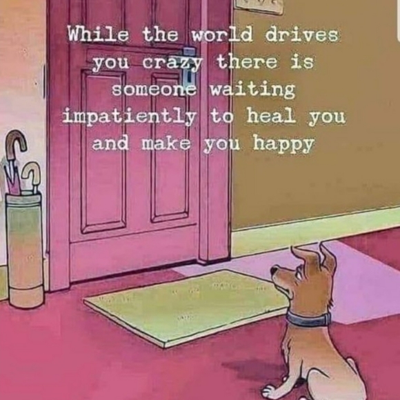 ❤Offers Welcome❤️ - Picture 6 of 11